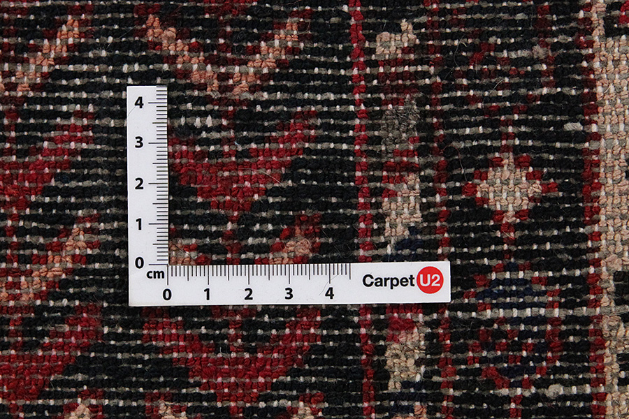 Bakhtiari - Garden Persian Carpet 320x167 - Picture 3
