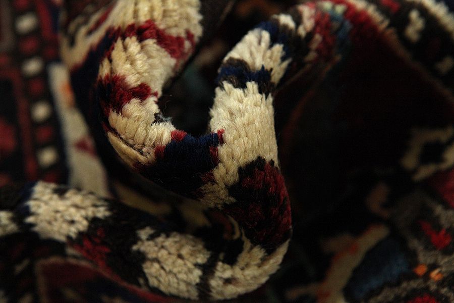 Bakhtiari Persian Carpet 317x175 - Picture 6