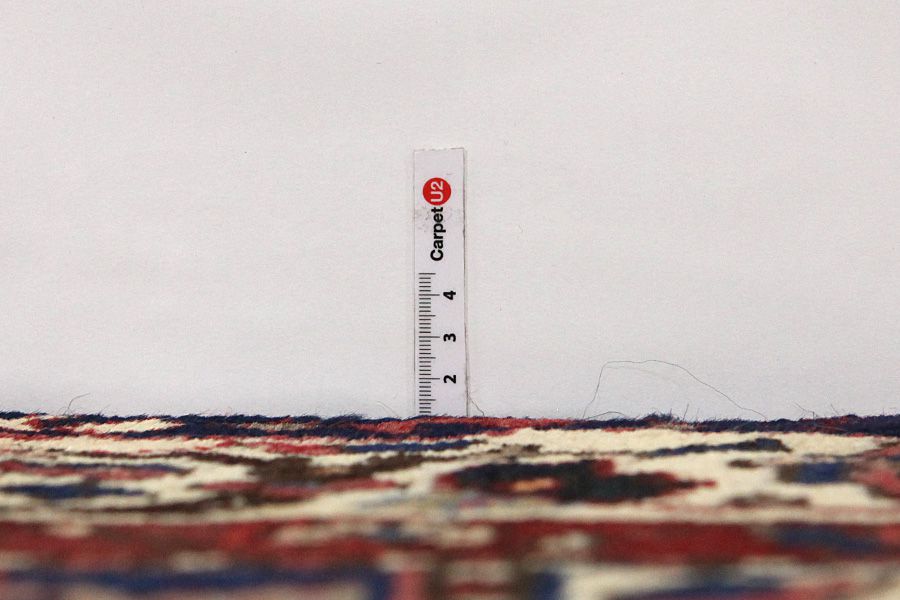 Bakhtiari Persian Carpet 317x175 - Picture 7
