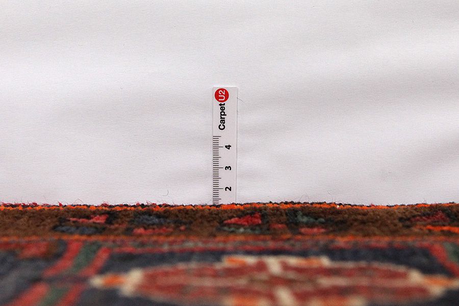 Enjelas - Hamadan Persian Carpet 315x158 - Picture 7
