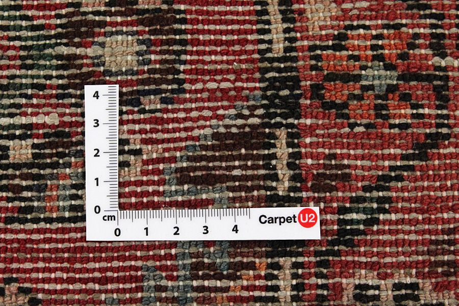 Hosseinabad - Hamadan Persian Carpet 314x155 - Picture 3