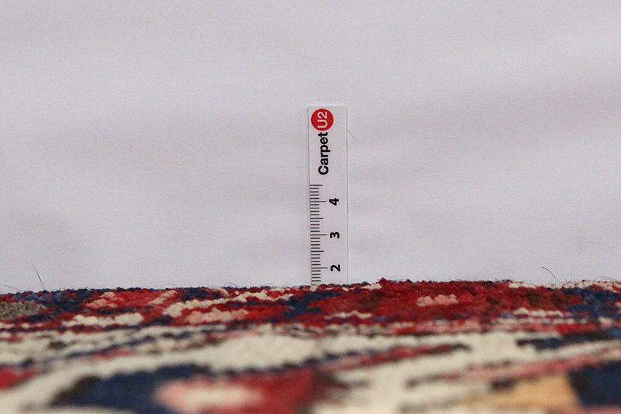Bakhtiari Persian Carpet 294x212 - Picture 7
