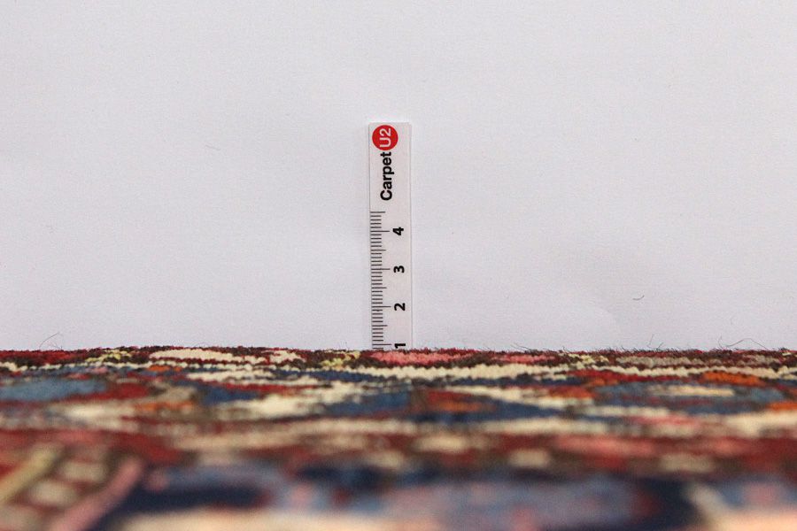 Bakhtiari Persian Carpet 303x170 - Picture 7
