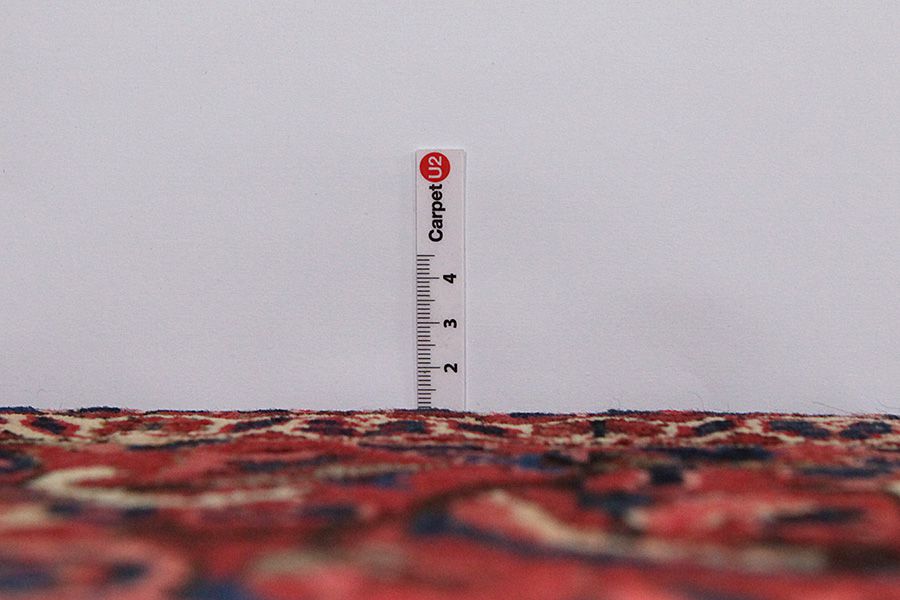 Bakhtiari Persian Carpet 315x210 - Picture 7