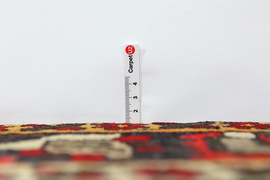 Bakhtiari Persian Carpet 300x205 - Picture 7