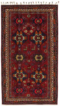 Carpet Koliai Kurdi 273x153