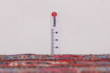 Senneh - Kurdi Persian Carpet 301x201 - Picture 8