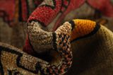Gabbeh - Qashqai Persian Carpet 185x124 - Picture 7