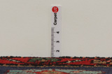 Koliai - Kurdi Persian Carpet 294x157 - Picture 8