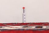 Afshar - Sirjan Persian Carpet 209x145 - Picture 8
