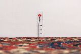 Jozan - Sarouk Persian Carpet 307x208 - Picture 8