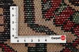 Nahavand - Hamadan Persian Carpet 293x163 - Picture 4