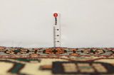 Nahavand - Hamadan Persian Carpet 293x163 - Picture 8
