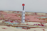 Tabriz Persian Carpet 245x200 - Picture 11